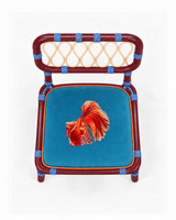 Coral Betta